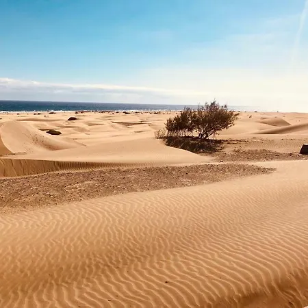 ゲストハウス Maspalomas